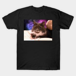 Moustache Cat T-Shirt